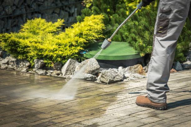 Best Gutter Cleaning  in Haslet, TX