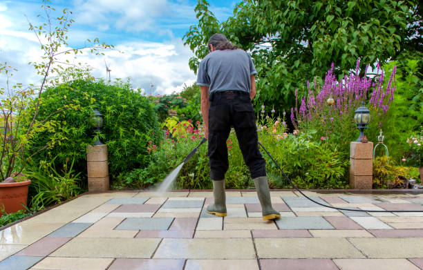 Best Animal Enclosure Cleaning  in Haslet, TX