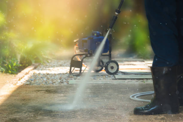 Animal Enclosure Cleaning in Haslet, TX